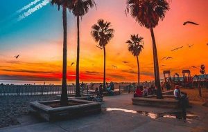 Best SEO Company In San Diego